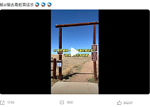女生查旅游攻略却被AI带入剧毒蛇窝！现场视频遍地响尾蛇太骇人（视频/组图）