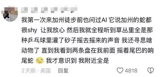 女生查旅游攻略却被AI带入剧毒蛇窝！现场视频遍地响尾蛇太骇人（视频/组图） - 11