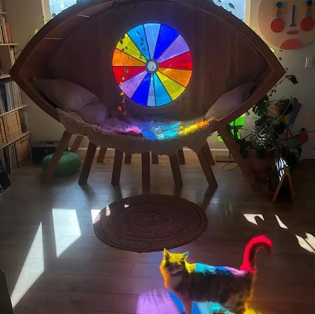 治愈抑郁症的动物 | 50 张可爱猫咪的照片，让人快乐自信、压力更少、睡眠质量更好（组图） - 50