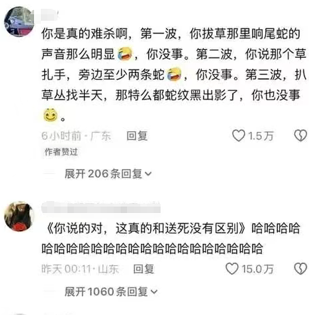 女生查旅游攻略却被AI带入剧毒蛇窝！现场视频遍地响尾蛇太骇人（视频/组图） - 6