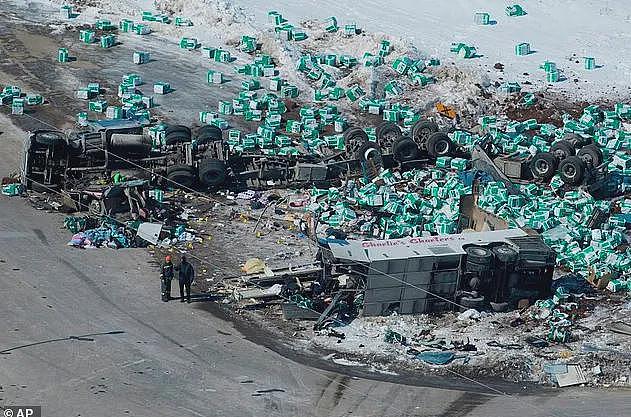 印度裔司机闯停牌致16人死亡，遣返前最后一刻被法院叫停：称回国或自杀（组图） - 4
