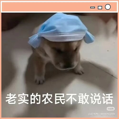 【爆笑】“你有哪些奇葩的挑食习惯...？”哈哈哈有些食物只在特定的菜里才吃！（组图） - 12