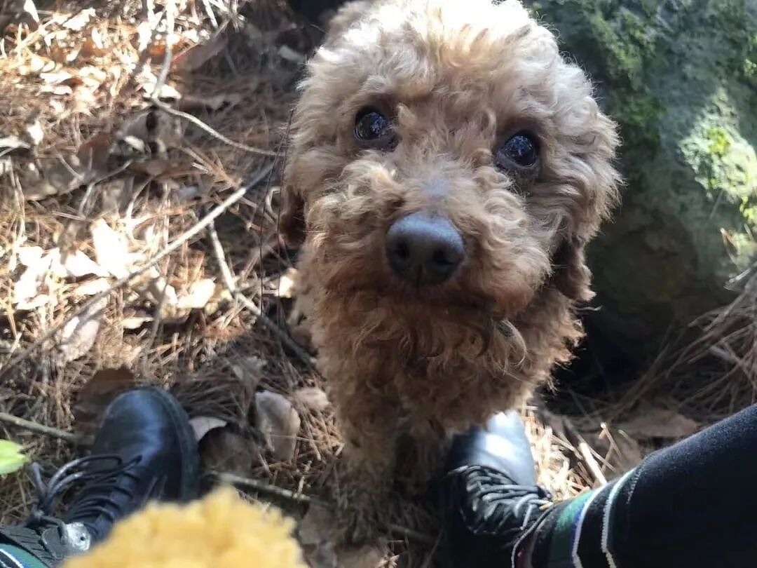 中国的第一批全职儿女，现在过得怎么样（组图） - 24
