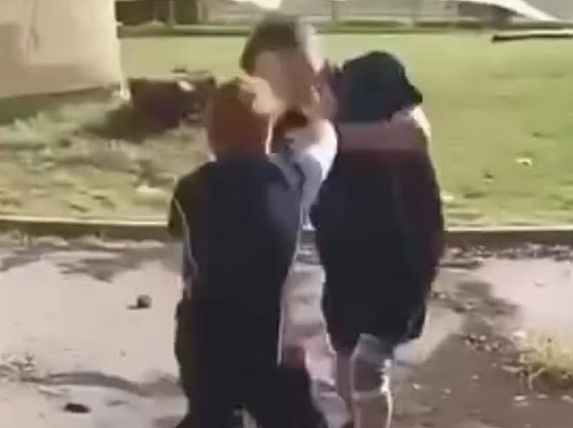 数据惊人！秘密文件曝光，澳洲校园暴力事件激增三倍，每天17人遭到袭击！（组图） - 6
