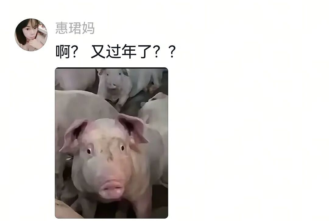 【宠物】大馋狗尾随路人讨要蛋卷，路人心软给出一大根，结果蛋卷被狗主人吃了…狗子敢怒不敢言（组图） - 6