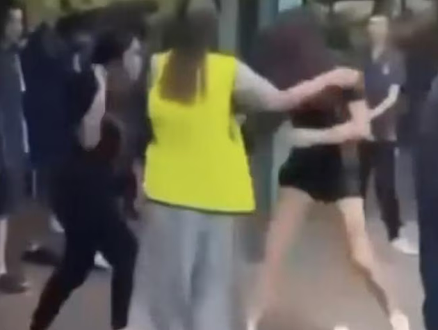 数据惊人！秘密文件曝光，澳洲校园暴力事件激增三倍，每天17人遭到袭击！（组图） - 10