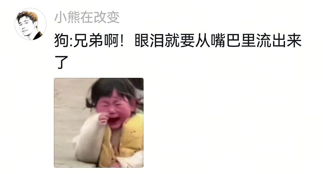 【宠物】大馋狗尾随路人讨要蛋卷，路人心软给出一大根，结果蛋卷被狗主人吃了…狗子敢怒不敢言（组图） - 4