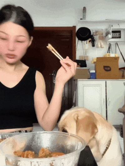 【宠物】大馋狗尾随路人讨要蛋卷，路人心软给出一大根，结果蛋卷被狗主人吃了…狗子敢怒不敢言（组图） - 17