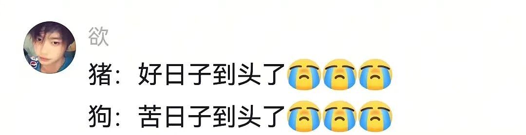 【宠物】大馋狗尾随路人讨要蛋卷，路人心软给出一大根，结果蛋卷被狗主人吃了…狗子敢怒不敢言（组图） - 8