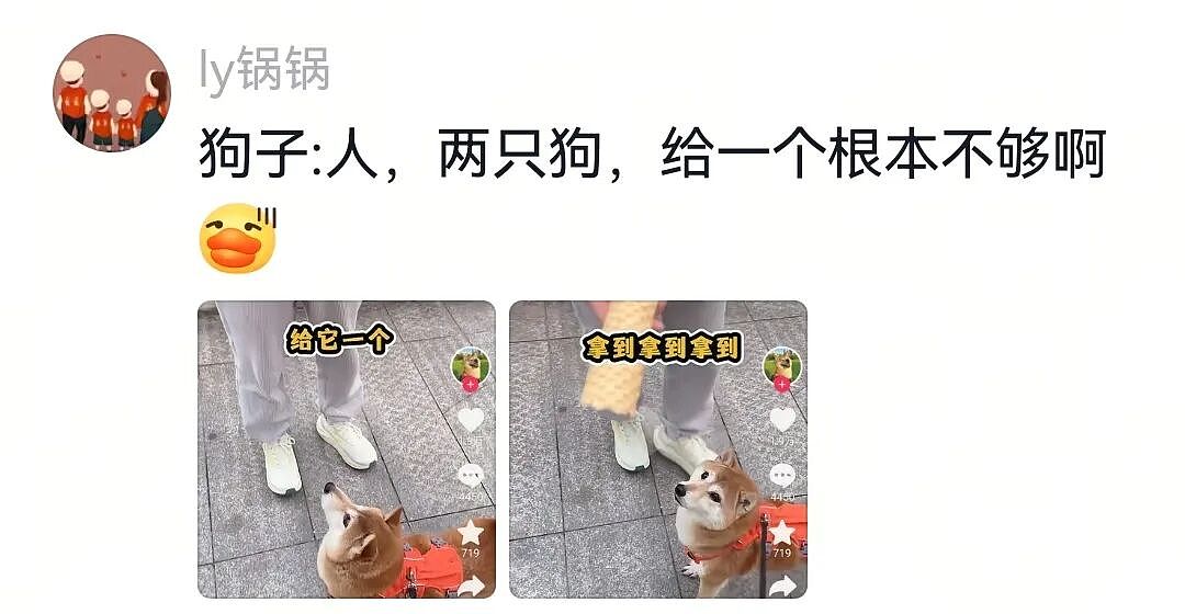 【宠物】大馋狗尾随路人讨要蛋卷，路人心软给出一大根，结果蛋卷被狗主人吃了…狗子敢怒不敢言（组图） - 15