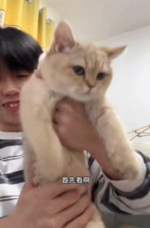【宠物】小猫蹲地上口吐绿沫,网友以为中毒急疯…主人却无动于衷,看清后才懂:命运戏弄大馋咪啊!(组图) - 32