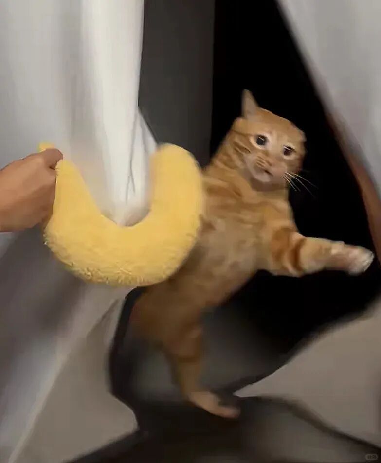 【宠物】小猫蹲地上口吐绿沫,网友以为中毒急疯…主人却无动于衷,看清后才懂:命运戏弄大馋咪啊!(组图) - 6