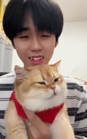 【宠物】小猫蹲地上口吐绿沫,网友以为中毒急疯…主人却无动于衷,看清后才懂:命运戏弄大馋咪啊!(组图) - 33