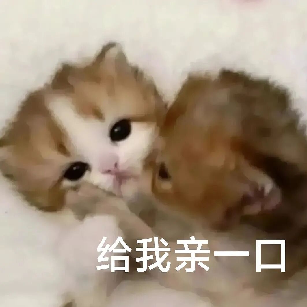 【宠物】小猫蹲地上口吐绿沫,网友以为中毒急疯…主人却无动于衷,看清后才懂:命运戏弄大馋咪啊!(组图) - 1