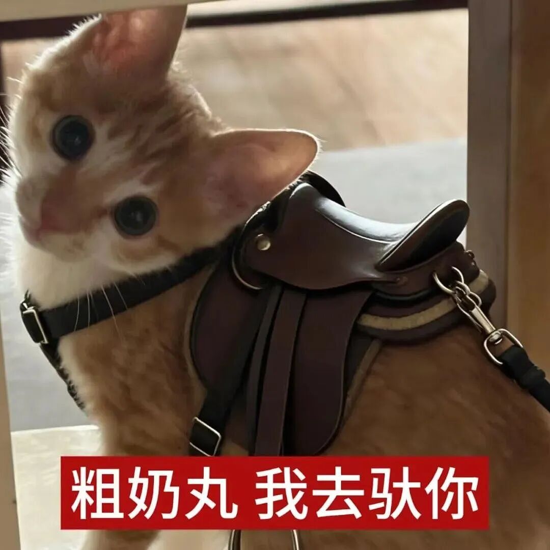 【宠物】小猫蹲地上口吐绿沫,网友以为中毒急疯…主人却无动于衷,看清后才懂:命运戏弄大馋咪啊!(组图) - 41