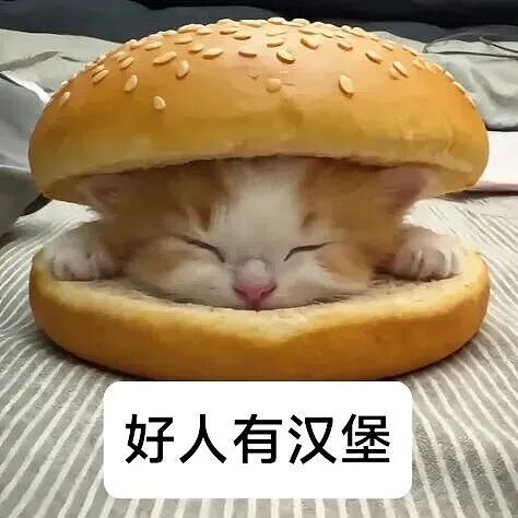 【宠物】小猫蹲地上口吐绿沫,网友以为中毒急疯…主人却无动于衷,看清后才懂:命运戏弄大馋咪啊!(组图) - 40