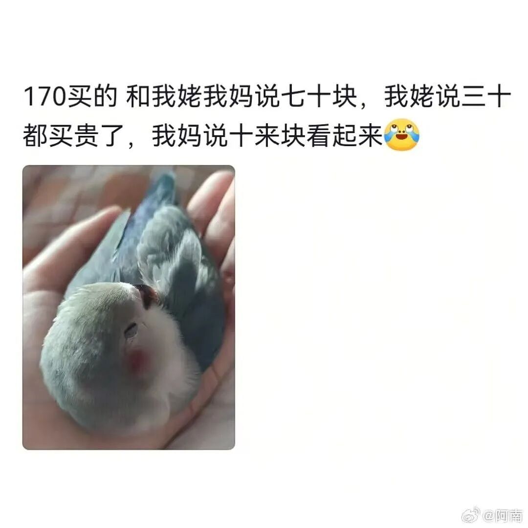 【爆笑】“长辈眼中的物价belike...?”哈哈哈再次见证以前的物价有多低!(组图) - 10