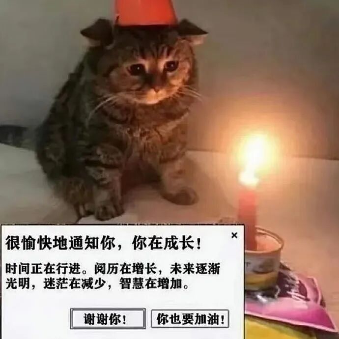 【爆笑】男朋友五一跟我出来旅游了,他妈妈一直哭?网友迷惑:不会是他的另一个对象吧?(组图) - 24