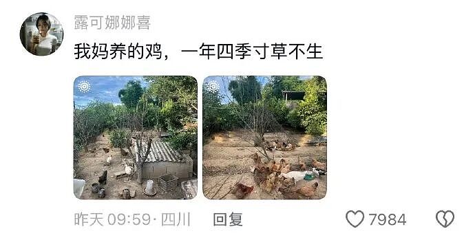 【爆笑】男朋友五一跟我出来旅游了,他妈妈一直哭?网友迷惑:不会是他的另一个对象吧?(组图) - 46