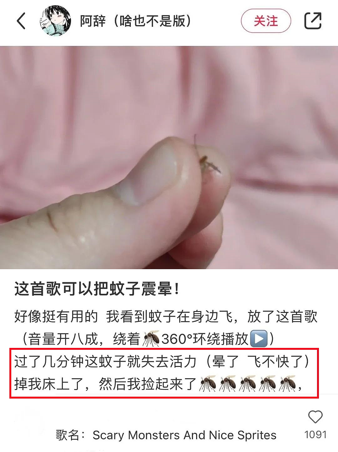 【宠物】养猫不能点蚊香，猫被蚊子追着咬，人也被咬，好气啊啊啊啊啊啊啊啊啊！（组图） - 12