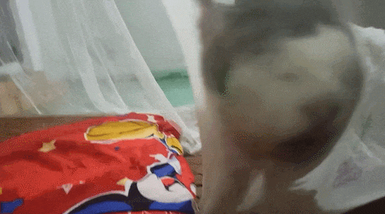【宠物】养猫不能点蚊香，猫被蚊子追着咬，人也被咬，好气啊啊啊啊啊啊啊啊啊！（组图） - 29