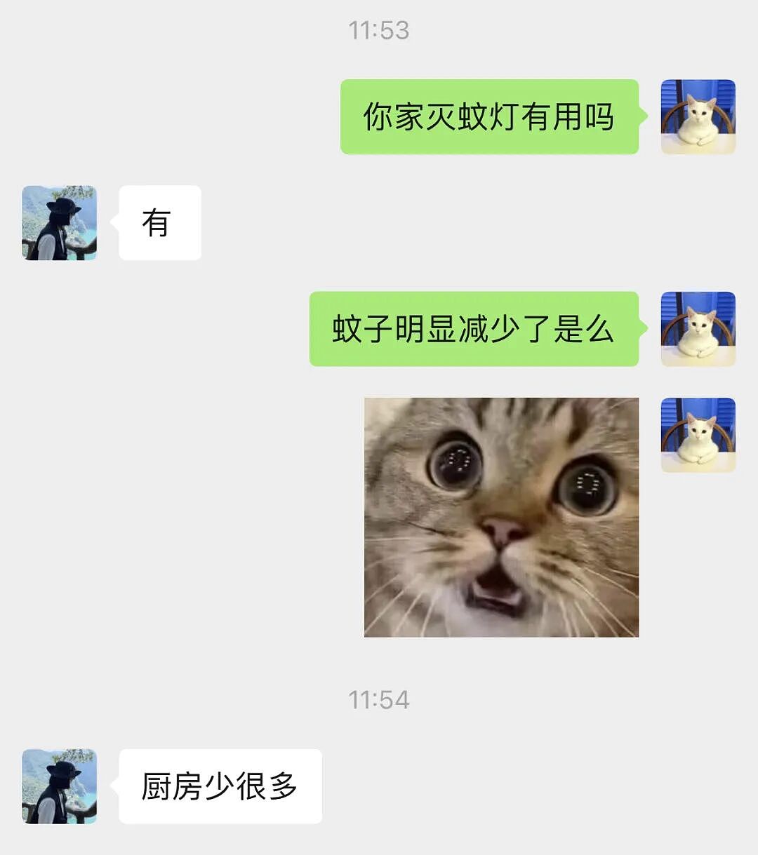 【宠物】养猫不能点蚊香，猫被蚊子追着咬，人也被咬，好气啊啊啊啊啊啊啊啊啊！（组图） - 33