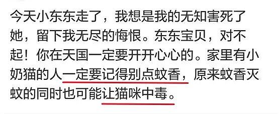 【宠物】养猫不能点蚊香，猫被蚊子追着咬，人也被咬，好气啊啊啊啊啊啊啊啊啊！（组图） - 7
