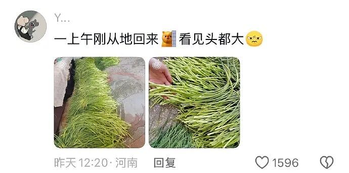 【爆笑】男朋友五一跟我出来旅游了,他妈妈一直哭?网友迷惑:不会是他的另一个对象吧?(组图) - 12
