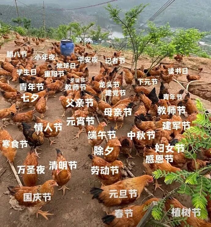 【爆笑】男朋友五一跟我出来旅游了,他妈妈一直哭?网友迷惑:不会是他的另一个对象吧?(组图) - 51