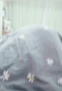【宠物】养猫不能点蚊香，猫被蚊子追着咬，人也被咬，好气啊啊啊啊啊啊啊啊啊！（组图） - 27