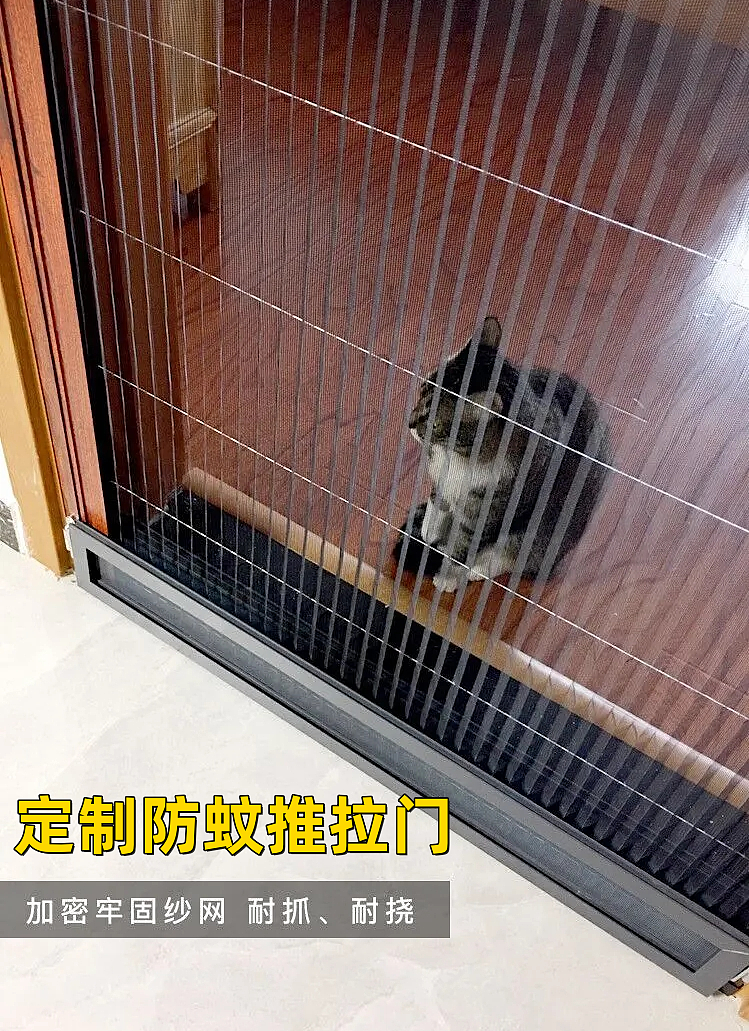 【宠物】养猫不能点蚊香，猫被蚊子追着咬，人也被咬，好气啊啊啊啊啊啊啊啊啊！（组图） - 24