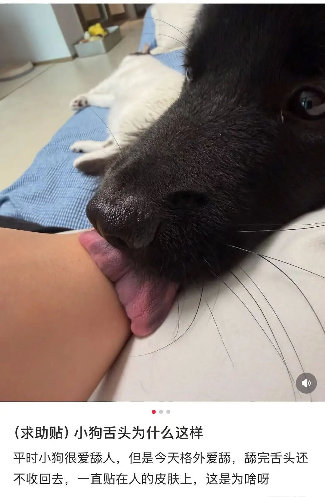 【爆笑】“当我让奶奶帮我打印身份证复印件时…?”哈哈哈这是什么雷霆大马猴!(组图) - 29