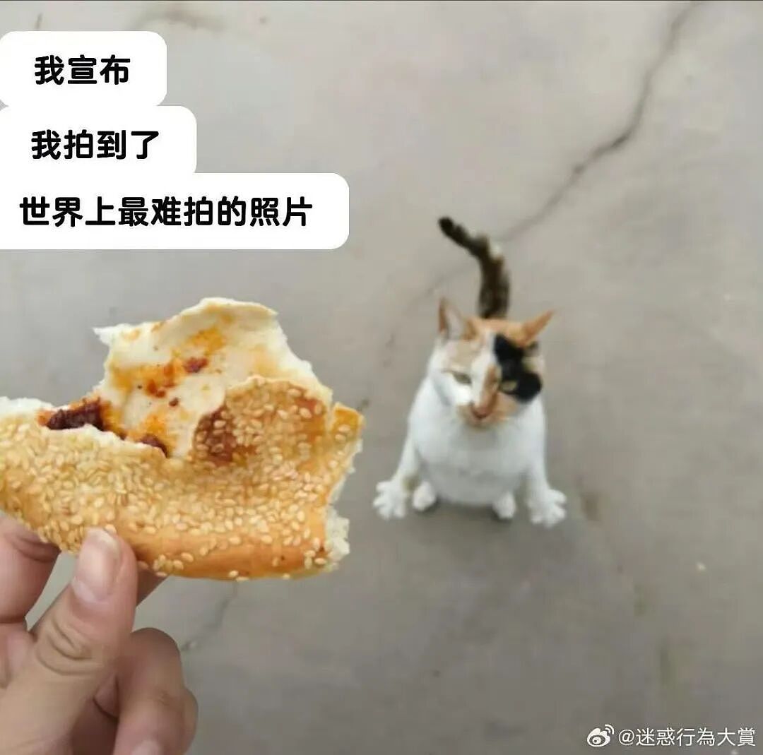 【爆笑】“当我让奶奶帮我打印身份证复印件时…?”哈哈哈这是什么雷霆大马猴!(组图) - 24