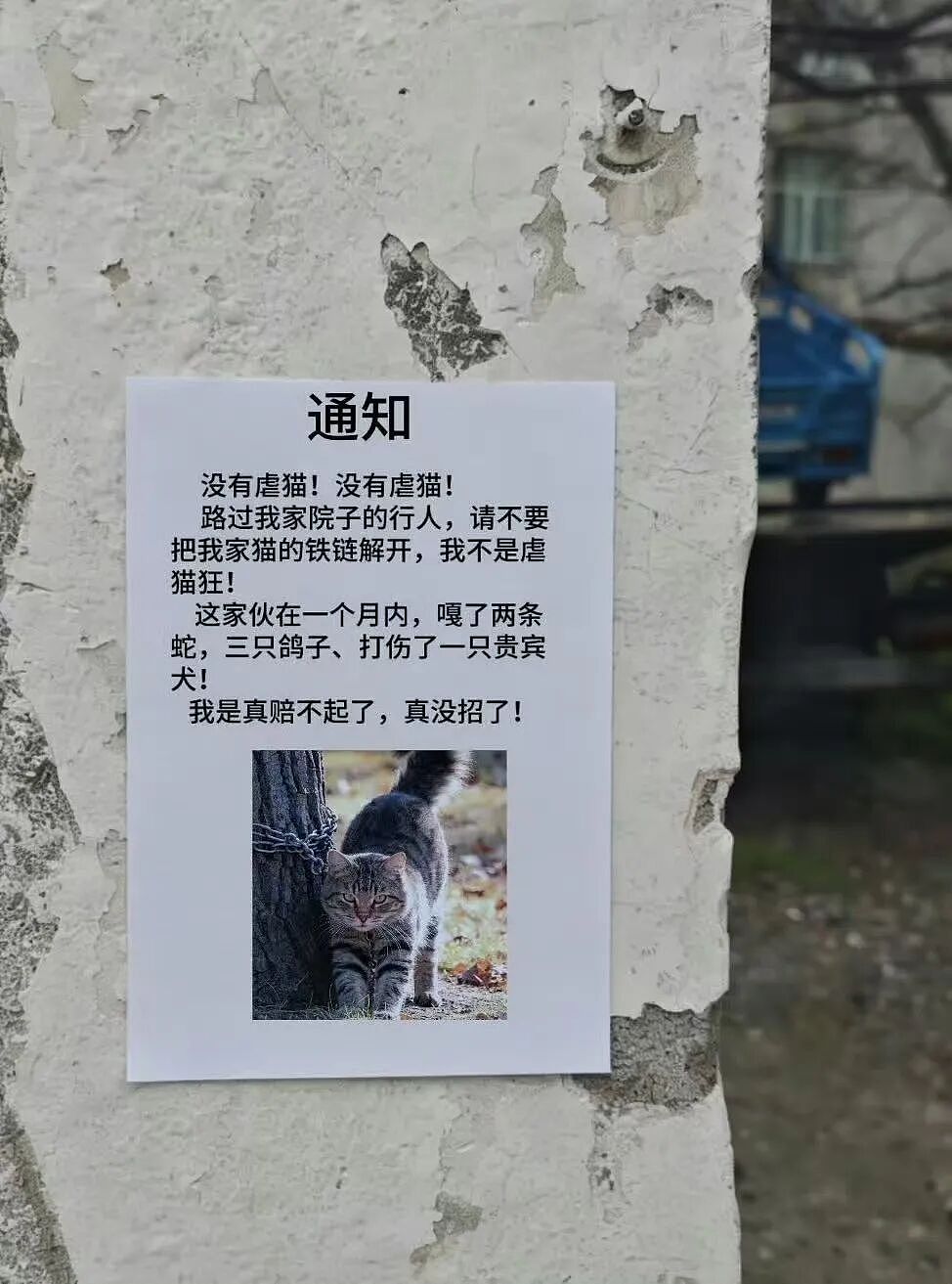 【爆笑】“当我让奶奶帮我打印身份证复印件时…?”哈哈哈这是什么雷霆大马猴!(组图) - 52