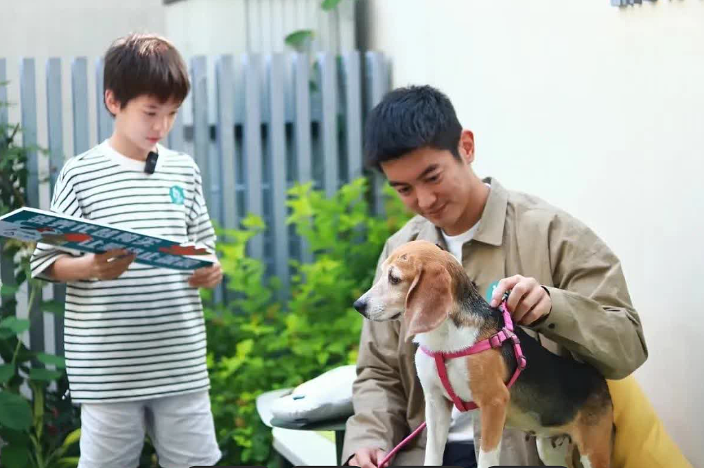 【情感】霍思燕携爱犬泰国夺冠，杜江的眼神藏不住了！相差5岁的姐弟恋太甜了（组图） - 12