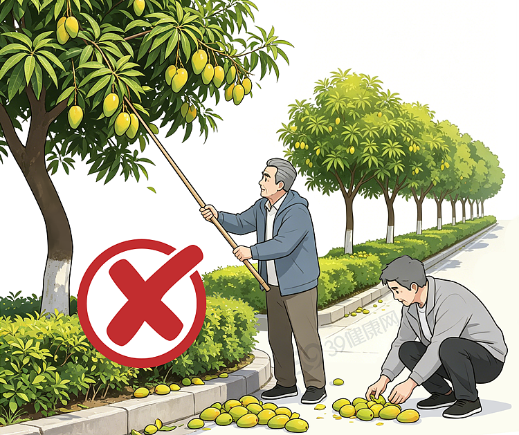 【健康】芒果再次成为关注对象!医生发现:吃芒果时,千万多留意这几点!(组图) - 7