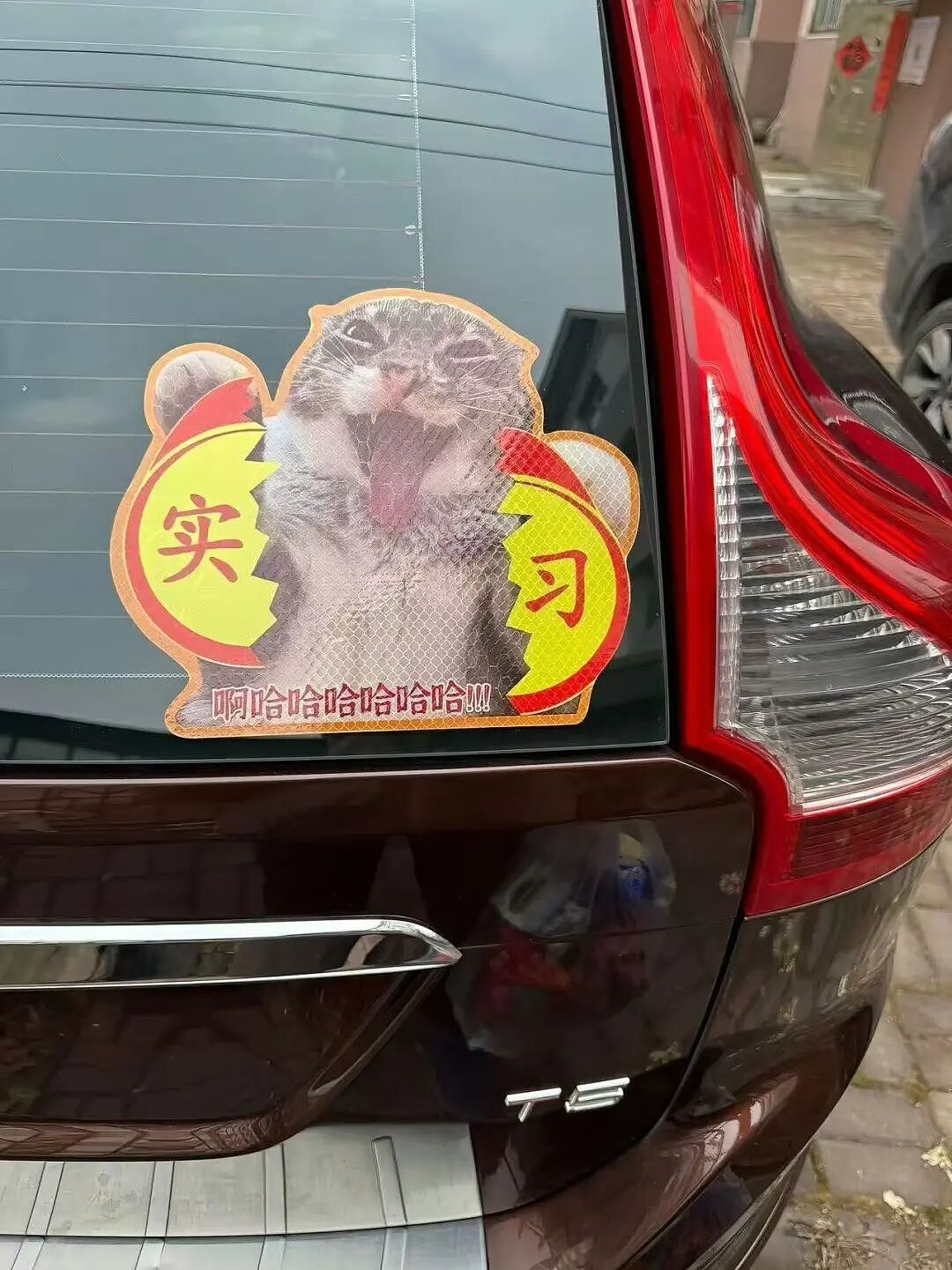 【爆笑】“当我让奶奶帮我打印身份证复印件时…?”哈哈哈这是什么雷霆大马猴!(组图) - 12