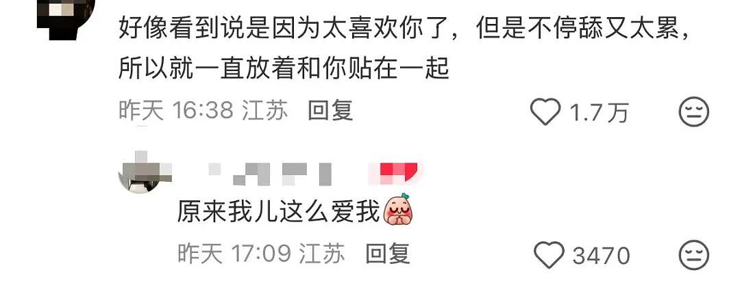 【爆笑】“当我让奶奶帮我打印身份证复印件时…?”哈哈哈这是什么雷霆大马猴!(组图) - 30
