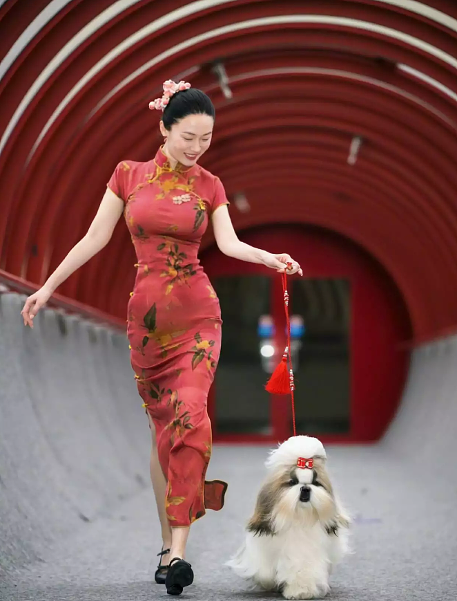 【情感】霍思燕携爱犬泰国夺冠，杜江的眼神藏不住了！相差5岁的姐弟恋太甜了（组图） - 6