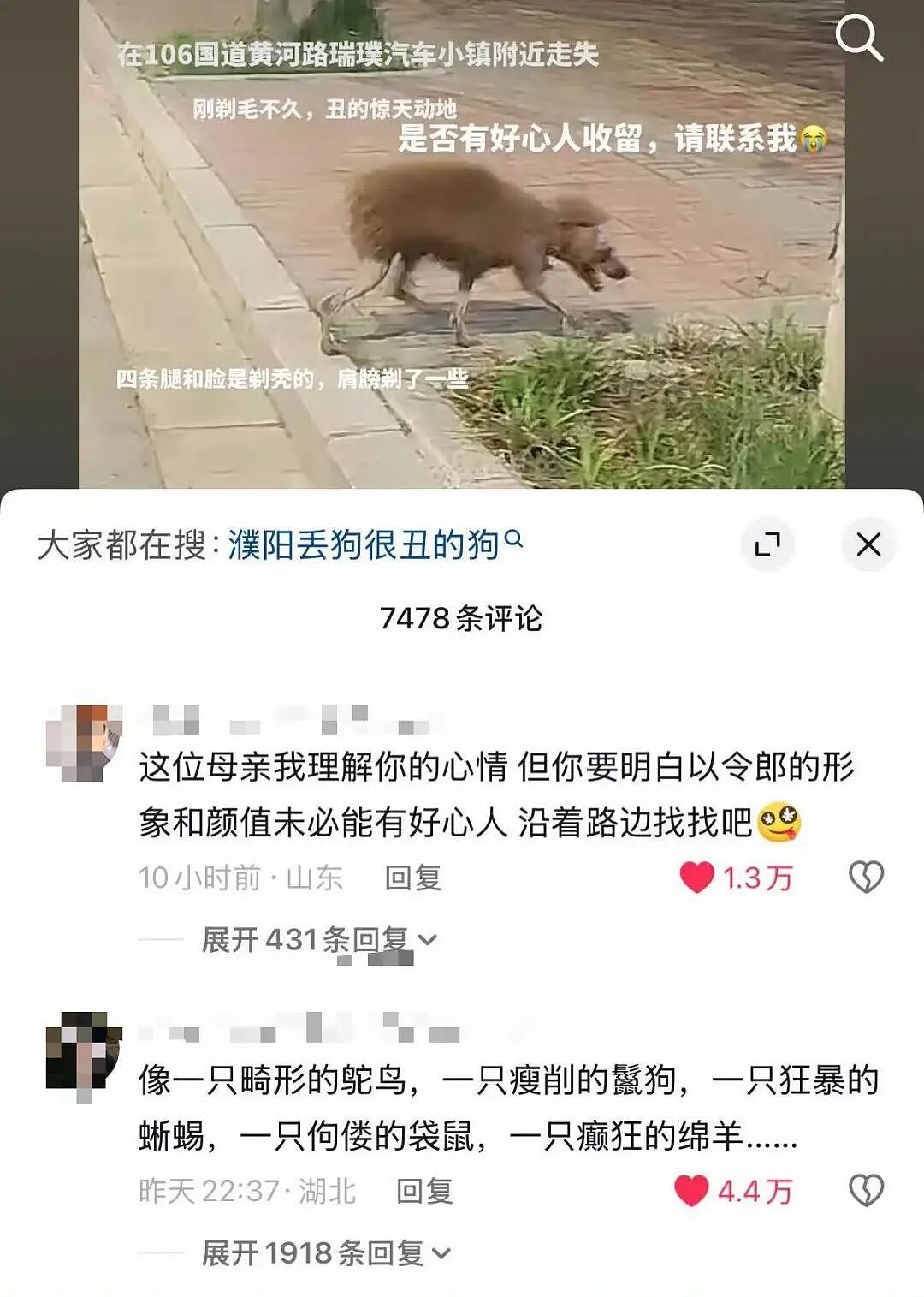 【爆笑】“当我让奶奶帮我打印身份证复印件时…?”哈哈哈这是什么雷霆大马猴!(组图) - 63