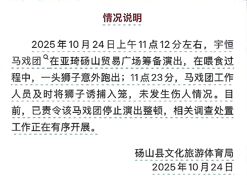 【宠物】警察蜀黍接到报案说高速路边有狮子,半信半疑赶去现场,惊掉下巴:不儿,怎么还真是狮子???(组图) - 12