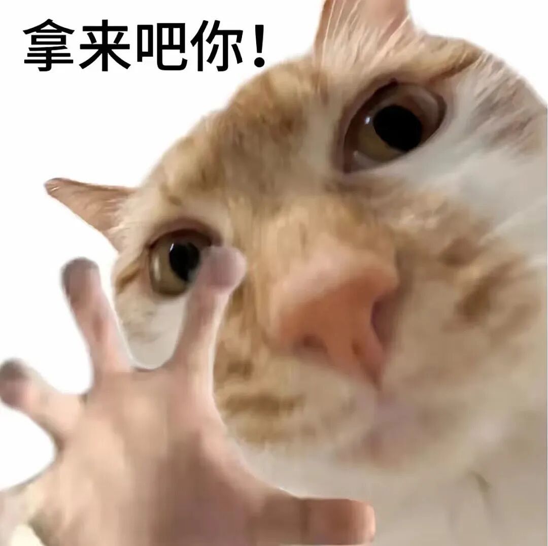 【爆笑】15个压箱底的冷笑话,笑到停不下来(组图) - 4