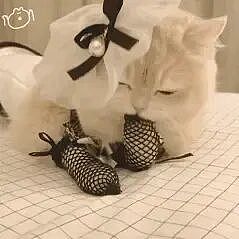 【两性】为什么男性会对制服那么着迷？（组图） - 5