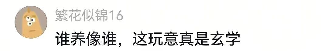 【萌宠】狗子不仅能嗑瓜子，换还能剥花生皮、嚼甘蔗，毛孩子骄傲：区区雕虫小技（组图） - 14