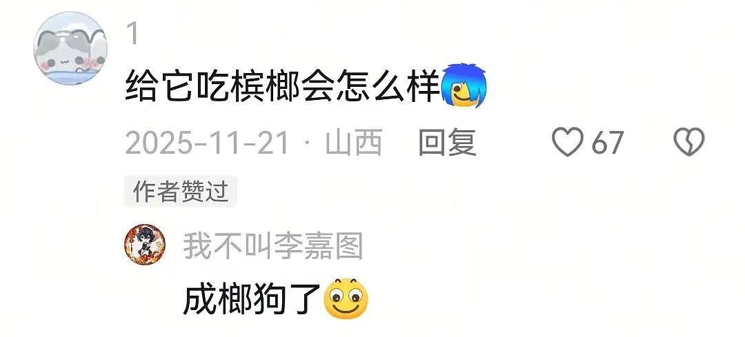 【萌宠】狗子不仅能嗑瓜子，换还能剥花生皮、嚼甘蔗，毛孩子骄傲：区区雕虫小技（组图） - 11