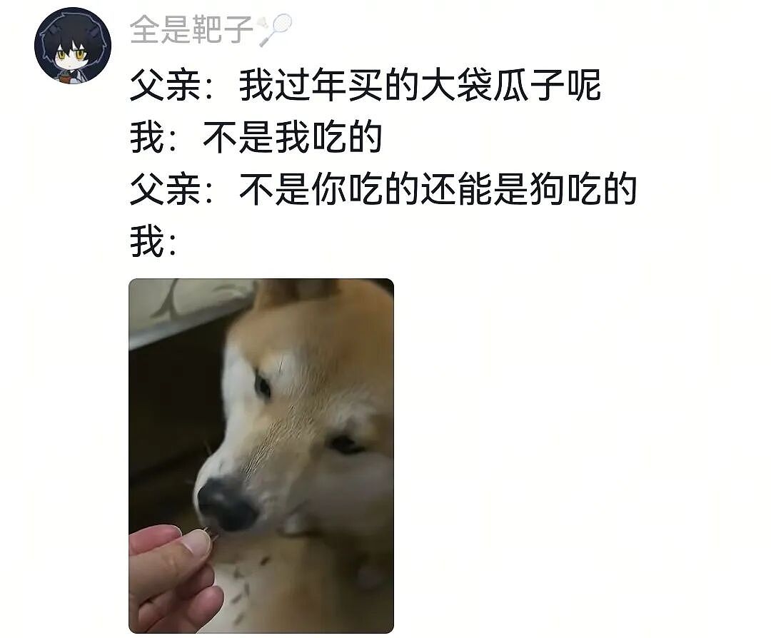 【萌宠】狗子不仅能嗑瓜子，换还能剥花生皮、嚼甘蔗，毛孩子骄傲：区区雕虫小技（组图） - 17