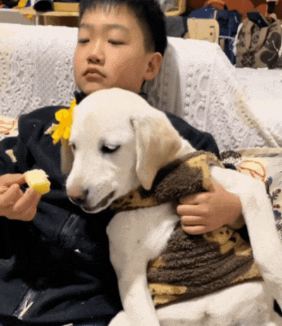 【萌宠】狗子不仅能嗑瓜子，换还能剥花生皮、嚼甘蔗，毛孩子骄傲：区区雕虫小技（组图） - 12