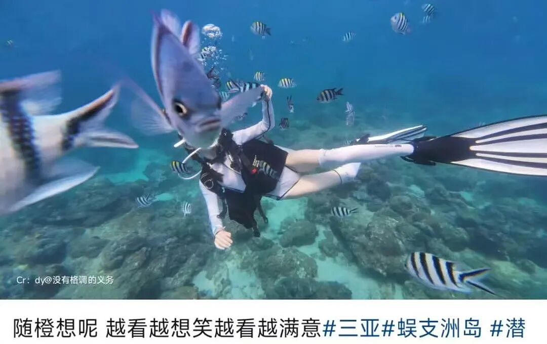 【爆笑】“当律师遇到了用文言文交流的客户…？”哈哈哈咨询是按字数收费吗！（组图） - 71