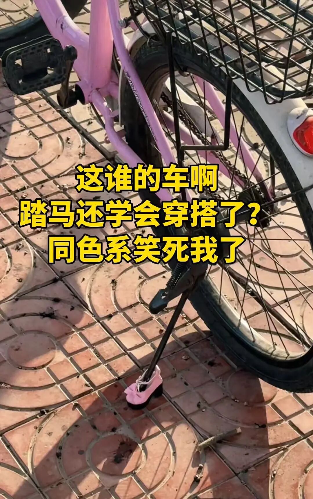 【爆笑】“当律师遇到了用文言文交流的客户…？”哈哈哈咨询是按字数收费吗！（组图） - 40
