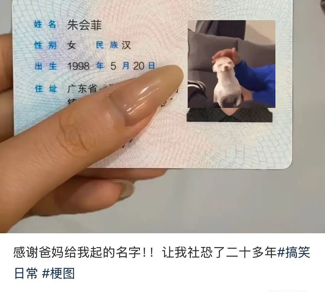 【爆笑】“当律师遇到了用文言文交流的客户…？”哈哈哈咨询是按字数收费吗！（组图） - 33